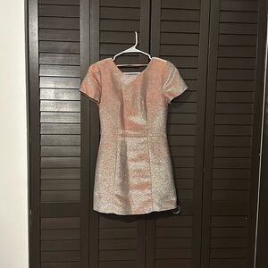 Express Pink Dress